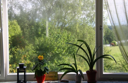 Ailingen Apartment | Apartment 'Sonnenblume' with Private Garden and Wi-Fi