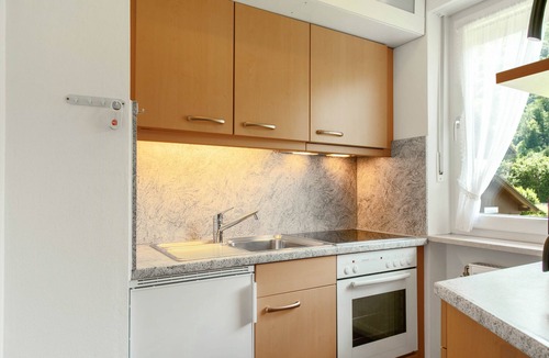 Oberaudorf Apartment | Apartment 'Tatzelwurm A5' with Mountain View, Shared Garden and Wi-Fi