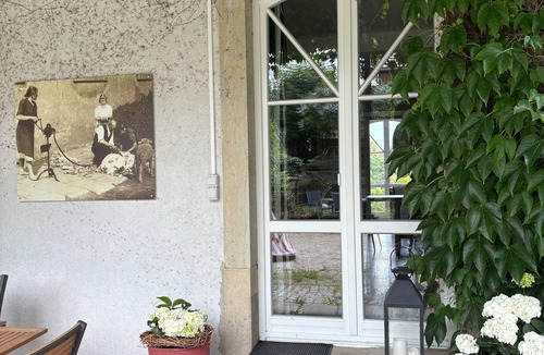 Kurort Gohrisch Apartment | Apartment 'Weltenbummler' with Mountain View, Private Terrace and Wi-Fi