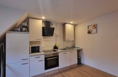 Wurzburg City Centre House | Apartment with fortress view