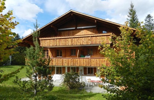 Saanenmoeser Apartment | Apartment Zapfe - Moore Appartement-Fewo- Dusche oder Bad- WC 5-Bettwohnung by Interhome