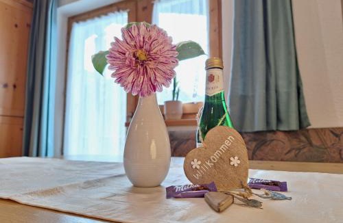 Kaunerberg Apartment | Apartments Amelie -2- mit Wallbox für ihr E-Auto und Garage für 2 Motorräder