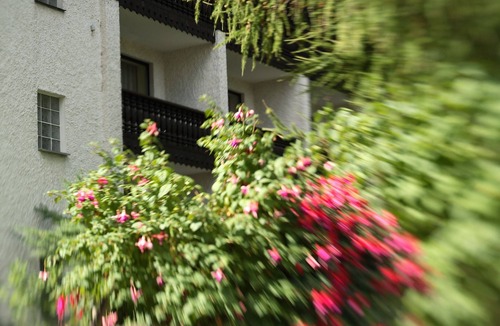 Bad Alexandersbad Apartment | Appartement (50qm) mit buchbarer Verpflegung in ländlicher Gegend