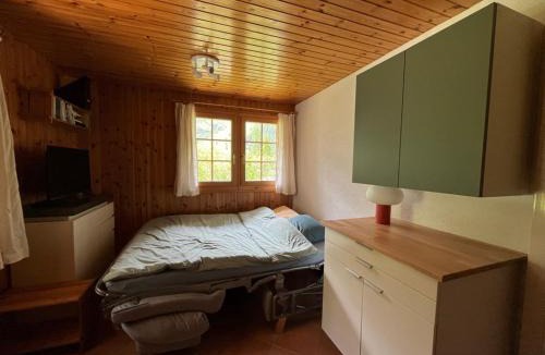 Zinal Apartment | Appartement avec jardin au coeur de la nature