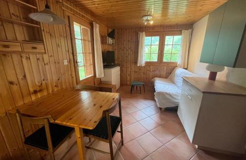 Zinal Apartment | Appartement avec jardin au coeur de la nature