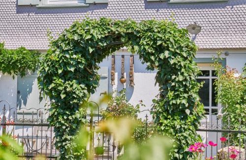 Wangen im Allgaeu Apartment | Appartement
