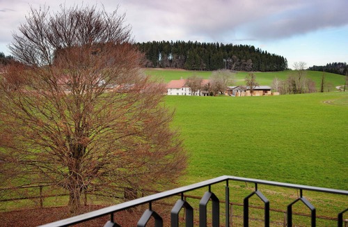 Wangen im Allgaeu Apartment | Appartement with Balcony and Wi-Fi