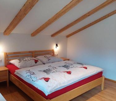 Moosen Apartment | Appartements - Haus Sieberer