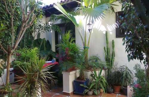 El Guincho Apartment | Aptos Monasterio de San Antonio 1
