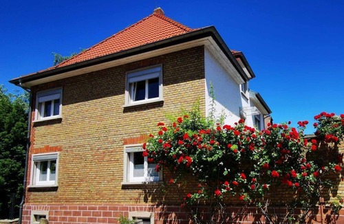 Woellstein Apartment | Bachblick Vacation Rental - Schwenck Vacation Rental