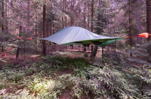 Regen Bed & Breakfast | Baumzelt im Wald