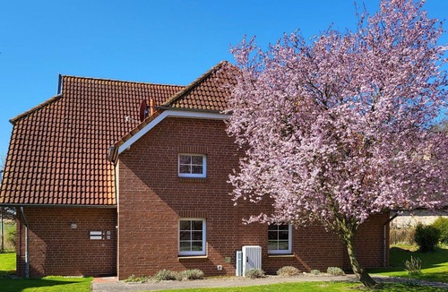 Ummanz Apartment | Beautiful apartment for 5 guests with WIFI, TV, terrace and pets allowed