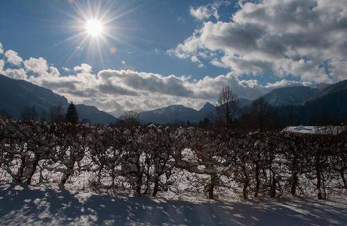 Tegernsee Bed & Breakfast | Bed and breakfast ∙ 2 guests
