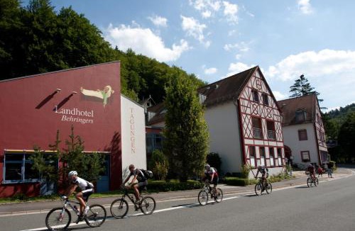 Goessweinstein Hotel | Behringers Freizeit - und Tagungshotel