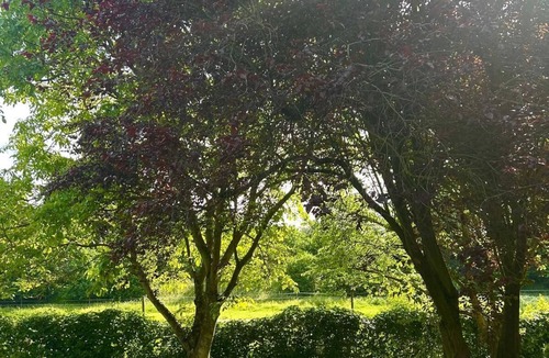 Grimma Apartment | Bellas Eden Apartment 2 Holiday apartment in the countryside on the Mulde and cycle path