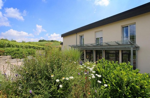 Beckstein Hotel | BENZ Weingut & Weinhotel