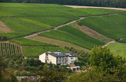 Beckstein Hotel | BENZ Weingut & Weinhotel