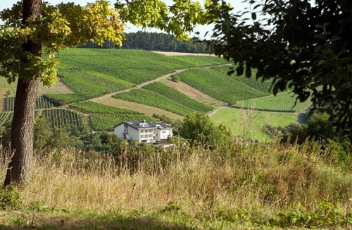 Beckstein Hotel | BENZ Weingut & Weinhotel