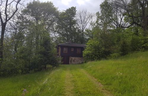 Geising House | Berghütte Fürstenwalde