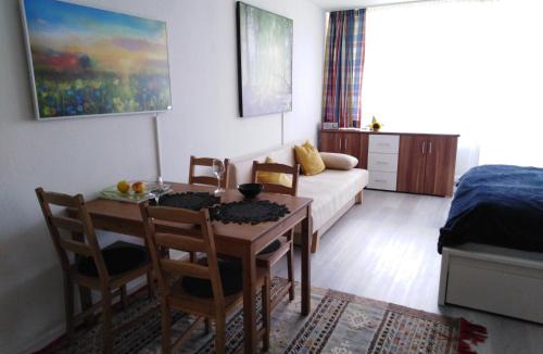 Sankt Englmar Apartment | Berghof Studio Haus Rachel mit Pool