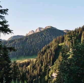 Rottach-Egern House | Berghotel Altes Wallberghaus