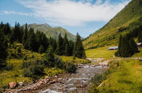 Schonberg Apartment | Bergresort Lachtal by ALPS RESORTS