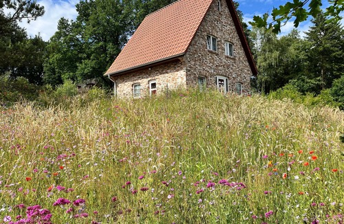 Bispingen House | Bispinger Heidezauber - Haus Felsenbirne