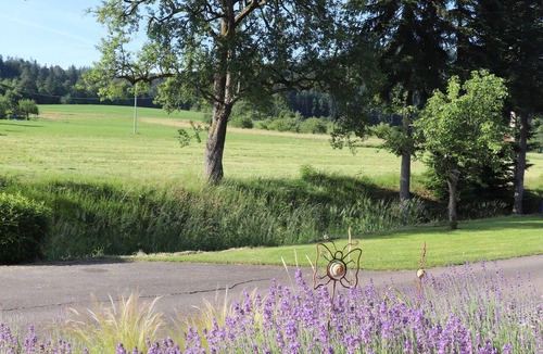 Seelbach Apartment | Braun Vacation Rental - Rebbergblick Vacation Rental