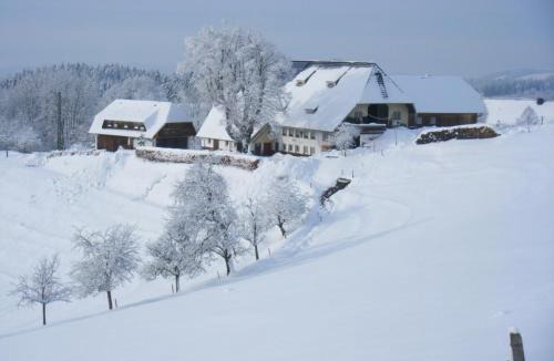 Sankt Maergen Apartment | Brosihof
