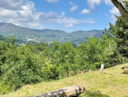 Mercadillo Apartment | Bungalows Virales