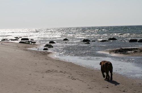 Bakenberg Other | CAMPER STELLPLATZ für dein Camper oder WoMo DIREKT am STRAND