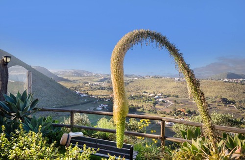 La Solana House | Casa Finca Mirador Bandama Sur – Rural Retreat with Private Jacuzzi and Views