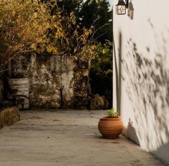 Icod de los Vinos Ski Chalet | Casa Las Carballas Isabel