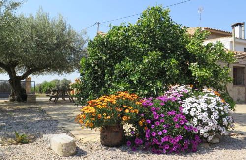 Vall d'Alba House | Casa Rural El Ros II - Turistrat