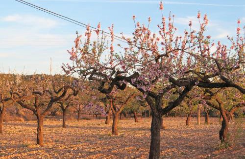 Vall d'Alba House | Casa Rural El Ros II - Turistrat