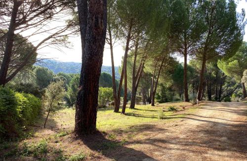 El Tiemblo House | Casa Valdesanmartin - Country House, 10500sqm, Pool, Paddel & Bbq