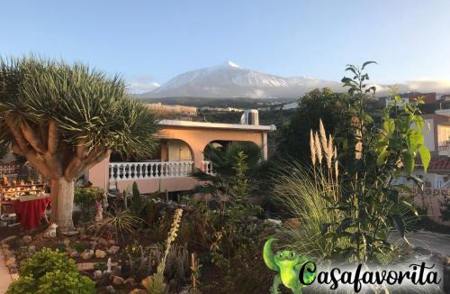 Icod de los Vinos Apartment | Casafavorita - Meer- und Teideblick für Zwei