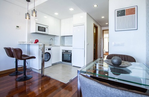 Castillejos Apartment | CASTELLANA PARKING 1 BEDROOM - 02