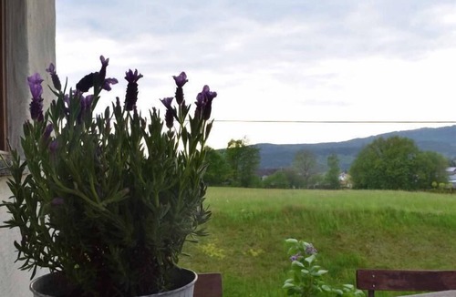 Falkenfels Apartment | Chalet (35sqm) with nostalgic wood-burning stove