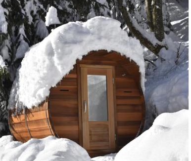 Argentiere Ski Chalet | "Chalet de la FIS" - Spa Privé avec Vue Exceptionnelle