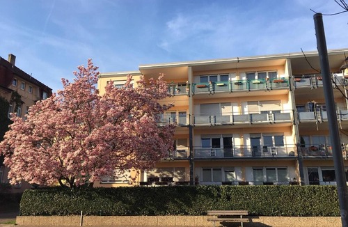 Muellheim Apartment | City Apartment in Müllheim