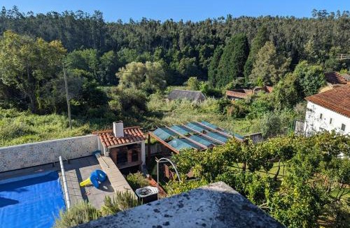 Albergaria-a-Velha House | Citrus Tree House, private pool and garden.