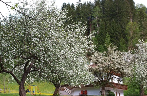 Helfenstein House | Cosy holiday home in Hart im Zillertal