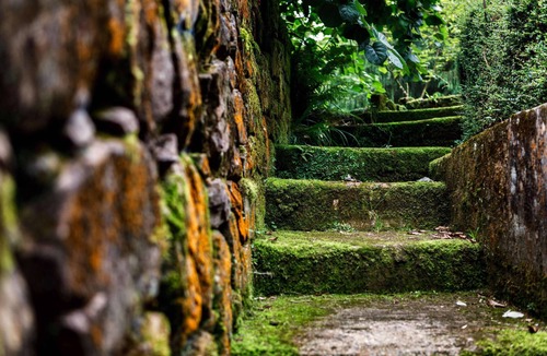 El Barcenal Cottage | Cottage-Family-Private Bathroom-Garden view-Agua