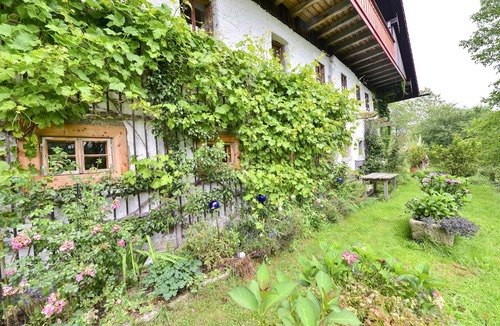 Neureichenau Apartment | Courtyard studio Menacher treasure cave - 25 sqm studio on the ground floor with terrace