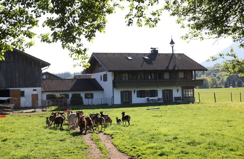 Weissbach Apartment | Cozy apartment for 1-3 persons, balcony and view of the mountain panorama