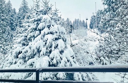 Schoenwald Apartment | Cozy Apartment on the Edge of the Forest in the Heart of the Black Forest