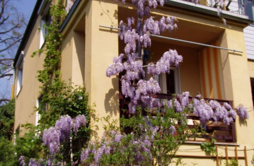 Kleinzschachwitz Apartment | Cozy attic apartment on the Elbe cycle path, good connection to public transport