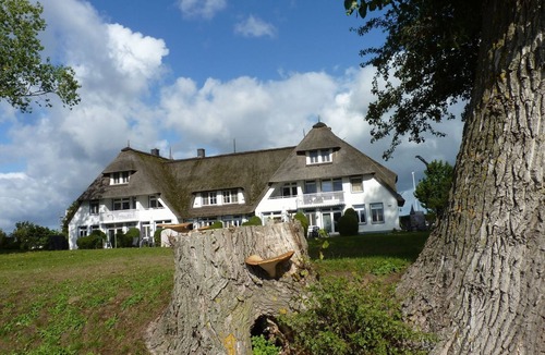 Stolpe auf Usedom Apartment | Cozy country house on the lagoon with balcony, garden. - The country house on the lagoon