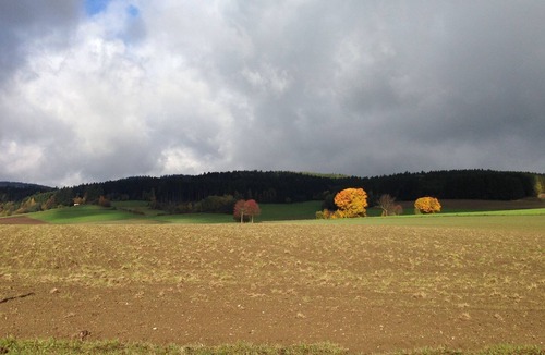 Tannesberg House | Cozy Pet-friendly Holiday Home in Tännesberg
